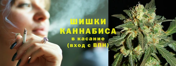 крисы Богданович
