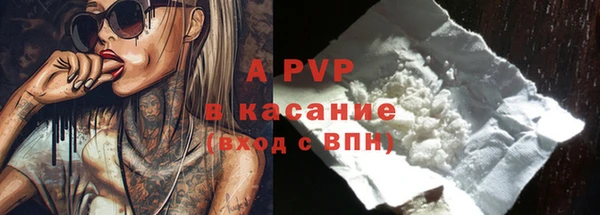 крисы Богданович