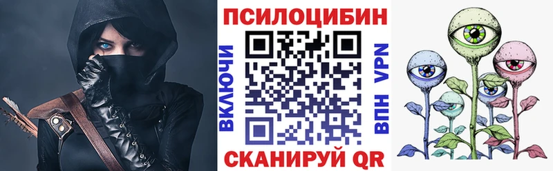 Купить  Кузнецк  Галлюциногенные грибы Cubensis 